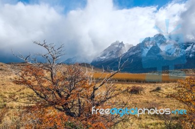 Autumn In Patagonia. The Torres Del Paine National Park In The S… Stock Photo