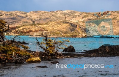 Autumn In Patagonia. The Torres Del Paine National Park In The S… Stock Photo