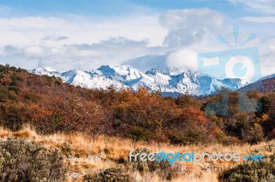 Autumn In Patagonia. Tierra Del Fuego,  Argentine Side Stock Photo