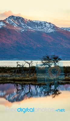 Autumn In Patagonia. Tierra Del Fuego, Beagle Channel And Chilea… Stock Photo