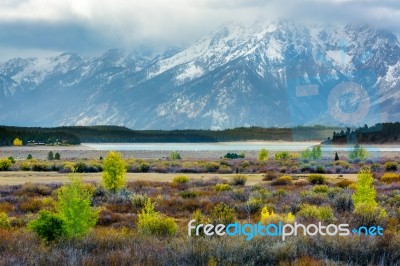 Autumn In The Grand Teton National Park Stock Photo