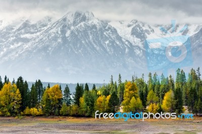 Autumn In The Grand Tetons Stock Photo