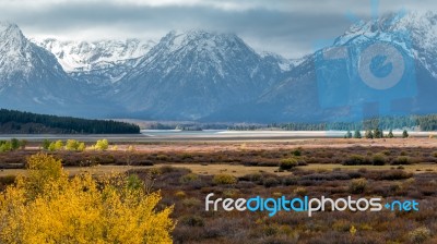 Autumn In The Grand Tetons Stock Photo