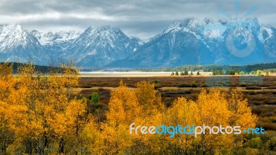 Autumn In The Grand Tetons Stock Photo