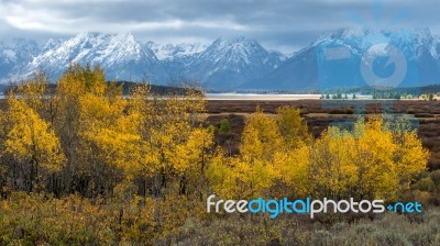 Autumn In The Grand Tetons Stock Photo