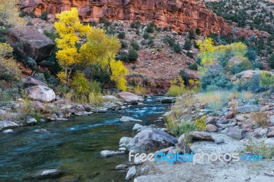 Autumn In Zion Stock Photo