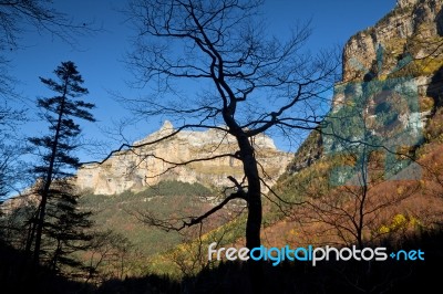 Autumn Landscape In Ordesa National Park, Pyrenees, Huesca, Arag… Stock Photo