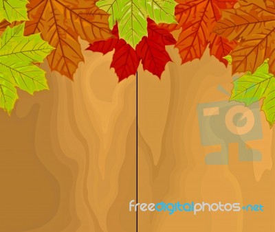 Autumn Leaves Stock Image