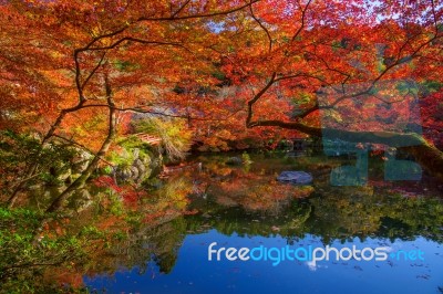 Autumn Leaves Around Pond At Daigoji Temple, Kyoto Stock Photo