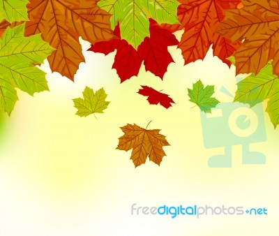 Autumn Leaves Background Stock Image