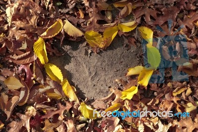 Autumn Leaves In Heart Shape In Natural Yellow Red Orange Color On Ground Stock Photo