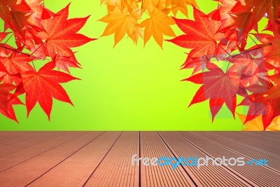 Autumn Maple Leaves And Wooden Floor Stock Photo