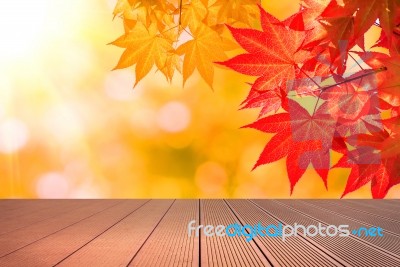 Autumn Maple Leaves And Wooden Floor Stock Photo