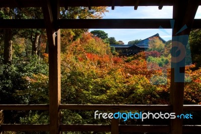 Autumn Maple Leaves At Tofukuji Temple, Kyoto Stock Photo