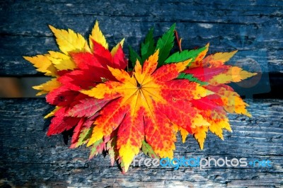 Autumn Maple Leaves On Wooden Background Stock Photo