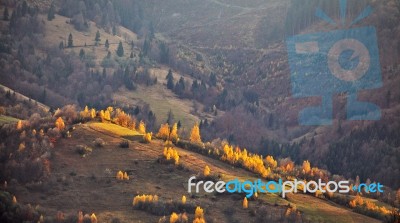 Autumn Mountain Panorama. October On Carpathian Hills Stock Photo