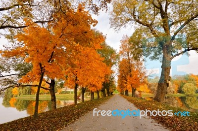 Autumn October Colorful Park. Foliage Trees Alley Stock Photo