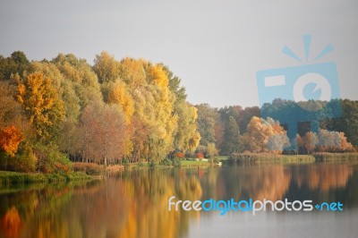 Autumn October Colorful Park. Foliage Trees Alley Stock Photo