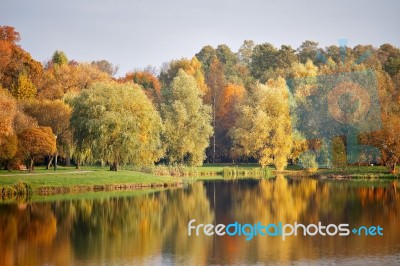 Autumn October Colorful Park. Foliage Trees Alley Stock Photo