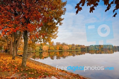 Autumn October Colorful Park. Foliage Trees Alley Stock Photo