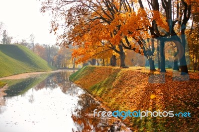 Autumn October Colorful Park. Foliage Trees Alley Stock Photo