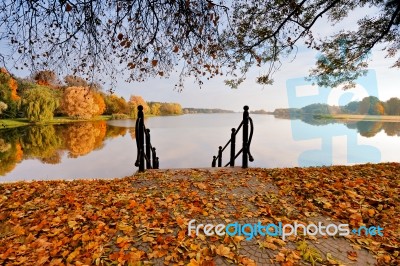 Autumn October Colorful Park. Foliage Trees Alley Stock Photo