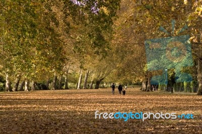 Autumn Park Stock Photo