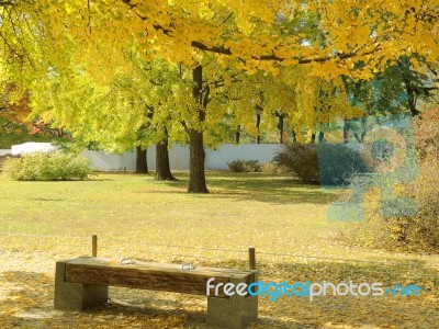 Autumn Park Stock Photo