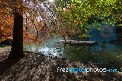 Autumn Scene At The Lake In Parco Di Monza Italy Stock Photo