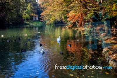 Autumn Scene At The Lake In Parco Di Monza Italy Stock Photo