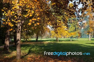 Autumn Scene In The Parco Di Monza Italy Stock Photo