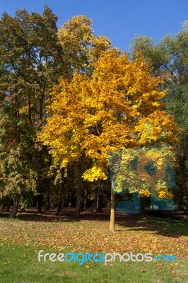 Autumn Scene In The Parco Di Monza Italy Stock Photo