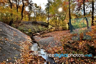 Autumn Scenery Stock Photo