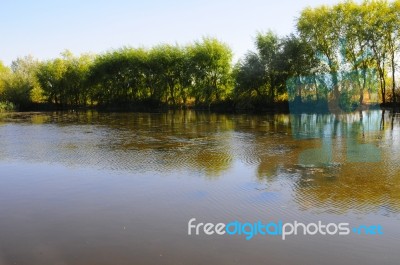 Autumn Scenery Near A Lake With Yellow Leaves On  Trees In Fall Stock Photo