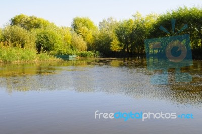 Autumn Scenery Near A Lake With Yellow Leaves On  Trees In Fall Stock Photo