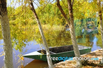 Autumn Scenery Near A Lake With Yellow Leaves On  Trees In Fall Stock Photo