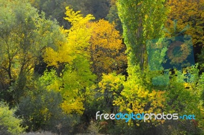 Autumn Scenery Near A Lake With Yellow Leaves On  Trees In Fall Stock Photo