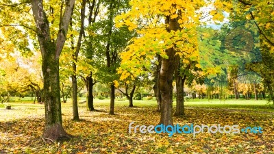 Autumn Season In Russia Moscow Stock Photo