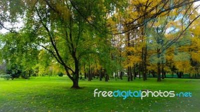 Autumn Season In Russia Moscow Stock Photo