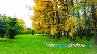 Autumn Season In Russia Moscow Stock Photo