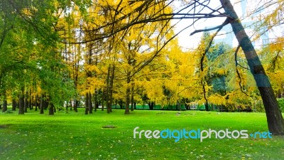 Autumn Season In Russia Moscow Stock Photo