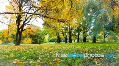 Autumn Season In Russia Moscow Stock Photo