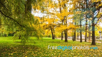 Autumn Season In Russia Moscow Stock Photo