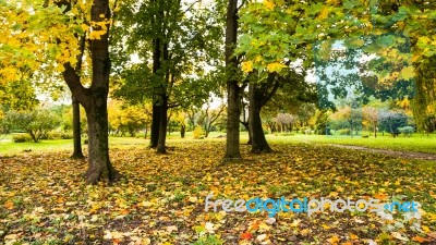 Autumn Season In Russia Moscow Stock Photo