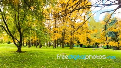 Autumn Season In Russia Moscow Stock Photo