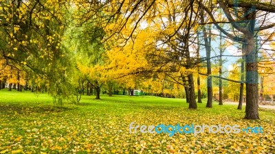 Autumn Season In Russia Moscow Stock Photo