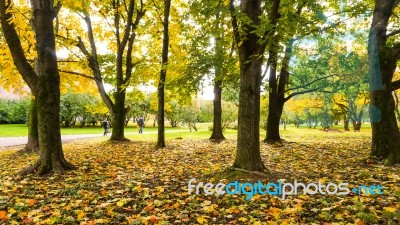 Autumn Season In Russia Moscow Stock Photo