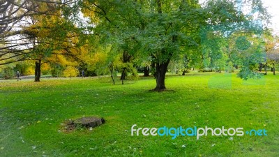 Autumn Season In Russia Moscow Stock Photo