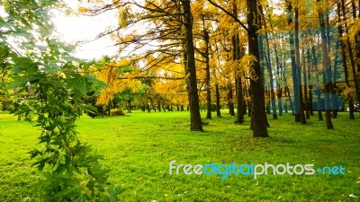 Autumn Season In Russia Moscow Stock Photo