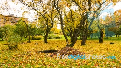 Autumn Season In Russia Moscow Stock Photo